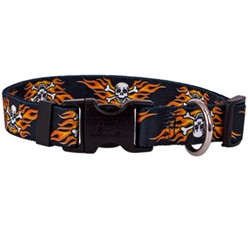 Flaming Skulls Collar Size S, Now 50% Off!
