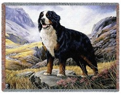 Bernese Mountain Dog Throw Blanket, Made in the USA