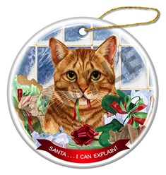 Orange Tabby Cat Santa I Can Explain Christmas Ornament
