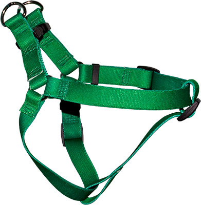 Sample Step In Harness, shown here in Kelly Green