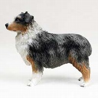 Australian Shepherd