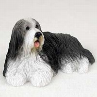 Bearded Collie