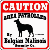 Belgian Malinois