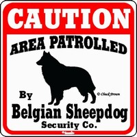 Belgian Sheepdog