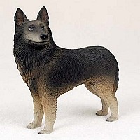 Belgian Tervuren