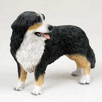 Bernese Mountain Dog