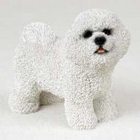 Bichon Frise