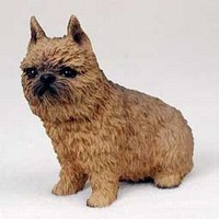 Brussels Griffon