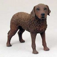 Chesapeake Bay Retriever