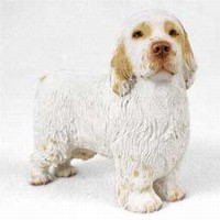 Clumber Spaniel