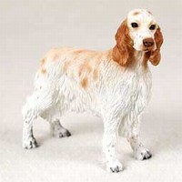 English Setter