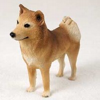 Finnish Spitz