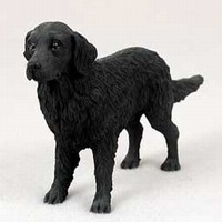 Flat Coated Retriever