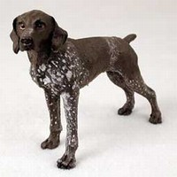 German Shorthaired Pointer