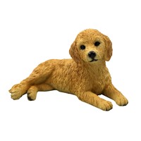 Goldendoodle