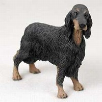 Gordon Setter