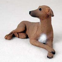 Italian Greyhound