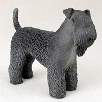 Kerry Blue Terrier