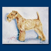 Lakeland Terrier