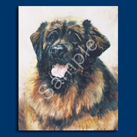 Leonberger