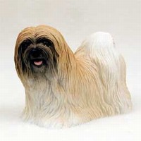 Lhasa Apso