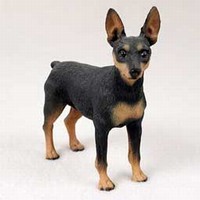 Miniature Pinscher