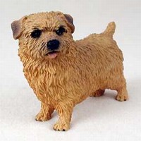 Norfolk Terrier