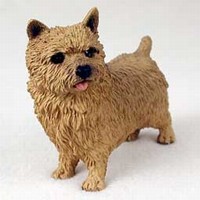 Norwich Terrier