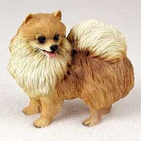 Pomeranian