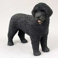 Portuguese Water Dog