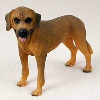 Rhodesian Ridgeback