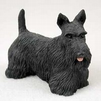 Scottish Terrier