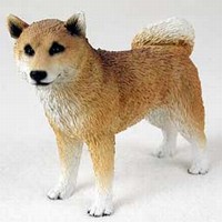 Shiba Inu