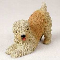 Soft Coated Wheaten Terrier