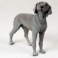 Weimaraner