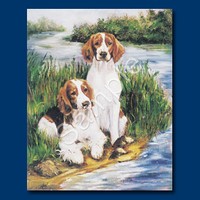 Welsh Springer Spaniel