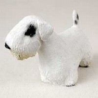 Sealyham Terrier