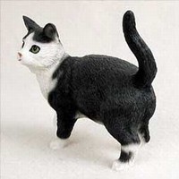 Black and White Cat