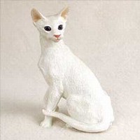 Oriental Shorthair