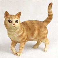 Orange Tabby Cat