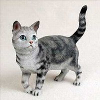 Silver Tabby Cat