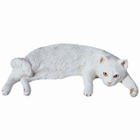 White Cat