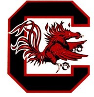 University of South Carolina Gamecocks