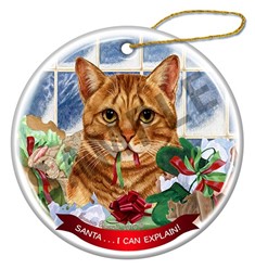 Santa I Can Explain Cat Christmas Ornaments