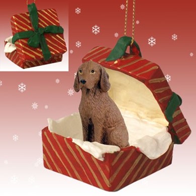 Raining Cats and Dogs | Vizsla Gift Box Christmas Ornament