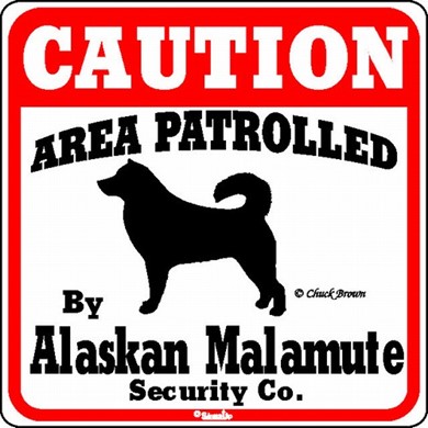 Raining Cats and Dogs | Alaskan Malamute Caution Sign, the Perfect Dog Warning Sign