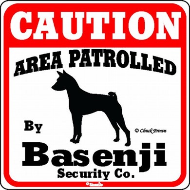 Raining Cats and Dogs | Basenji Caution Sign, the Perfect Dog Warning Sign