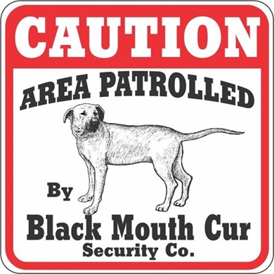 Raining Cats and Dogs | Black Mouth Cur Caution Sign, the Perfect Dog Warning Sign
