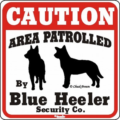 Raining Cats and Dogs | Blue Heeler Caution Sign, the Perfect Dog Warning Sign