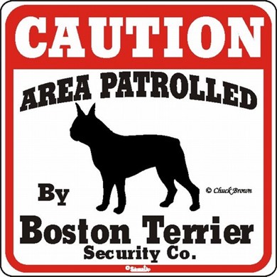 Raining Cats and Dogs | Boston Terrier Caution Sign, the Perfect Dog Warning Sign